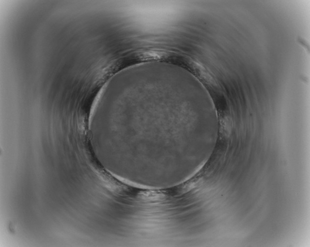 X0000095880331200802011049