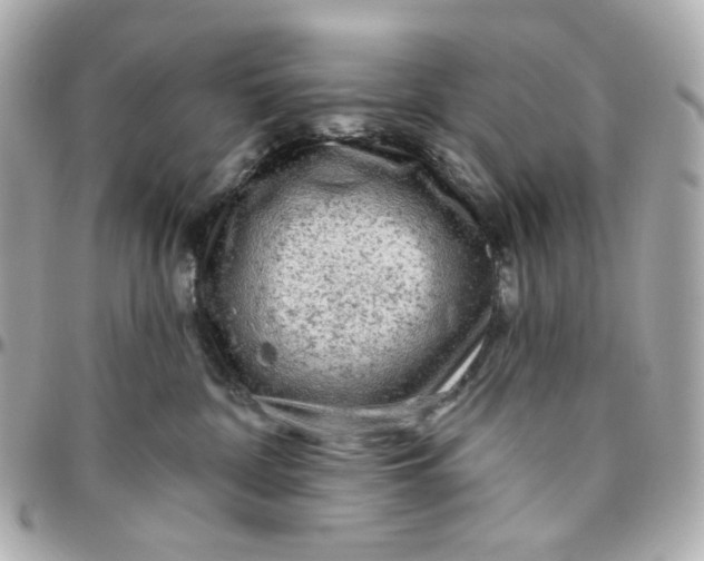 X0000095880332200802011049