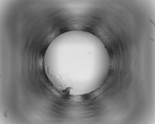 X0000095880334200802011049