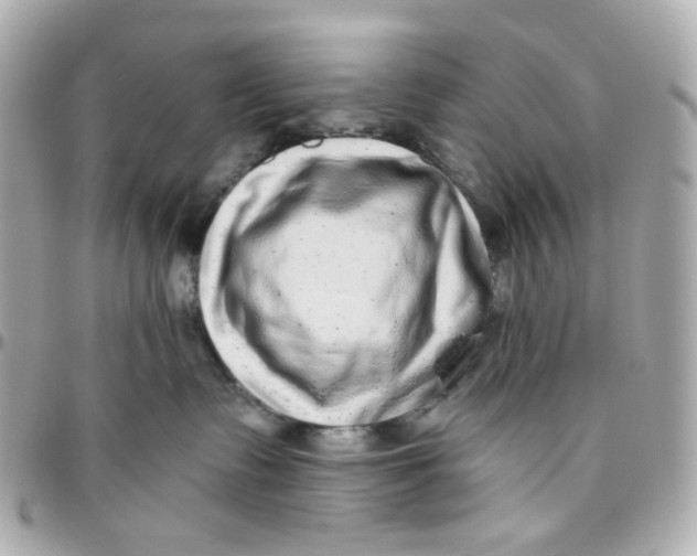 X0000095880335200802011049