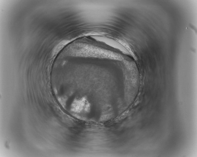 X0000095880337200802011049