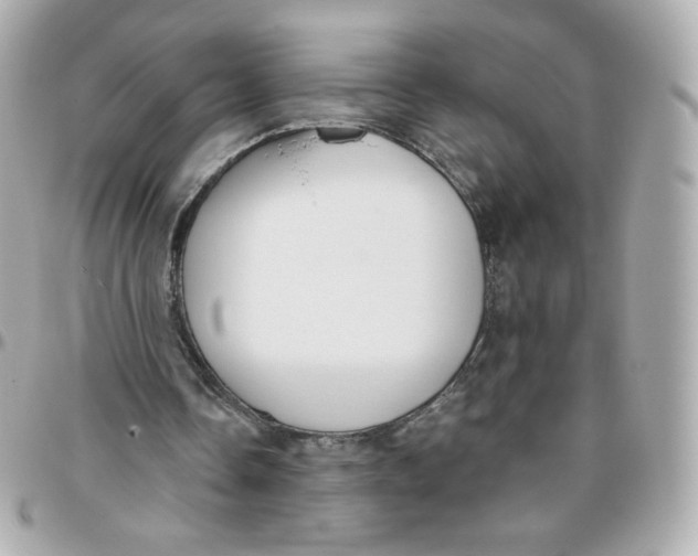 X0000095880338200802011049