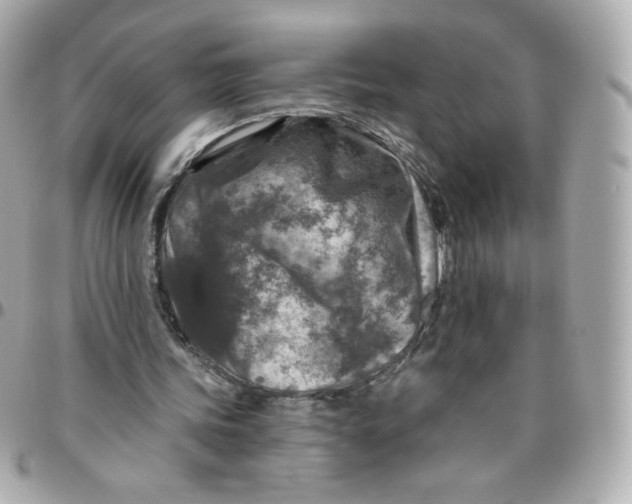 X0000095880339200802011049