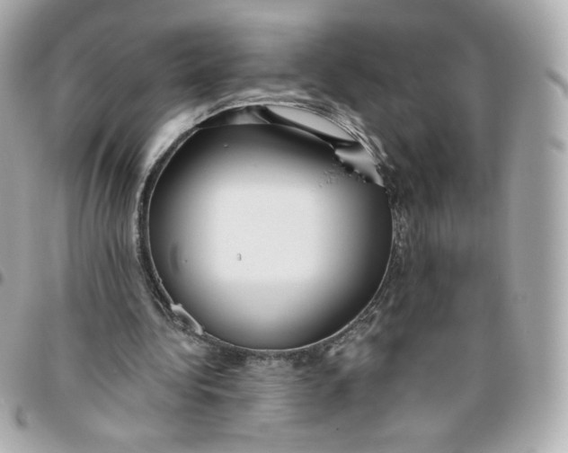 X0000095880340200802011049