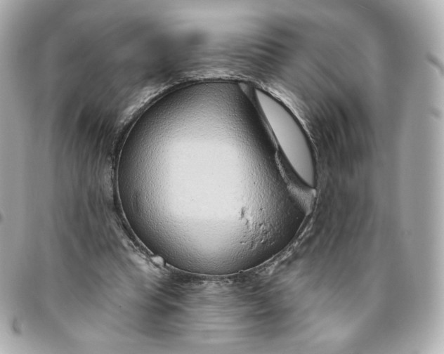 X0000095880345200802011049