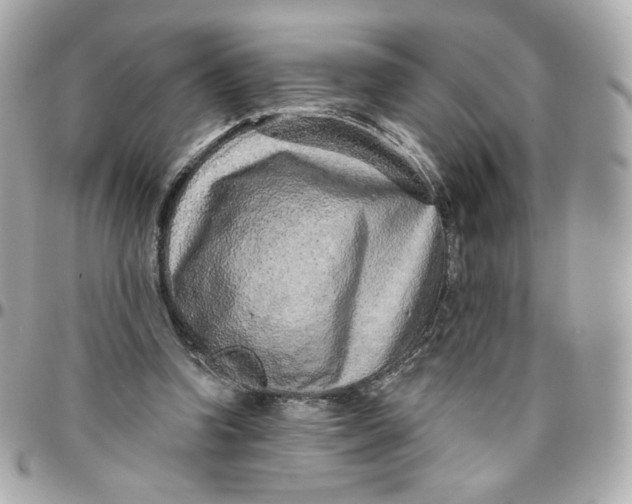 X0000095880346200802011049