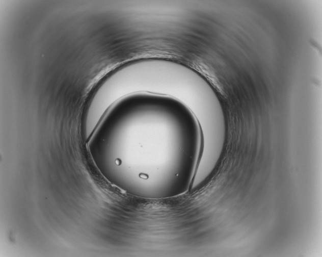 X0000095880348200802011049