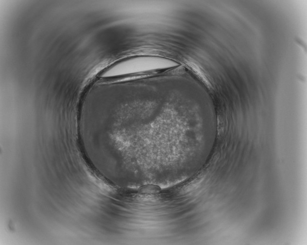 X0000095880349200802011049