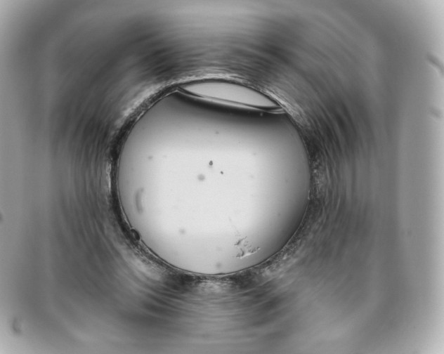 X0000095880350200802011049