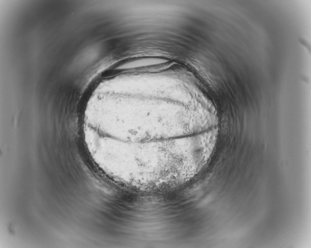 X0000095880351200802011049