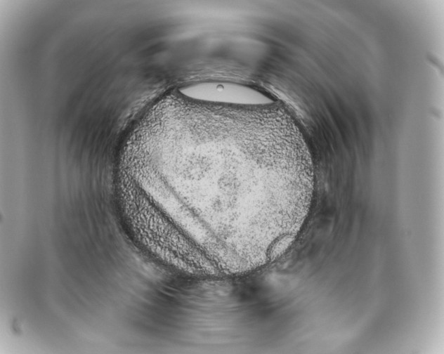 X0000095880353200802011049