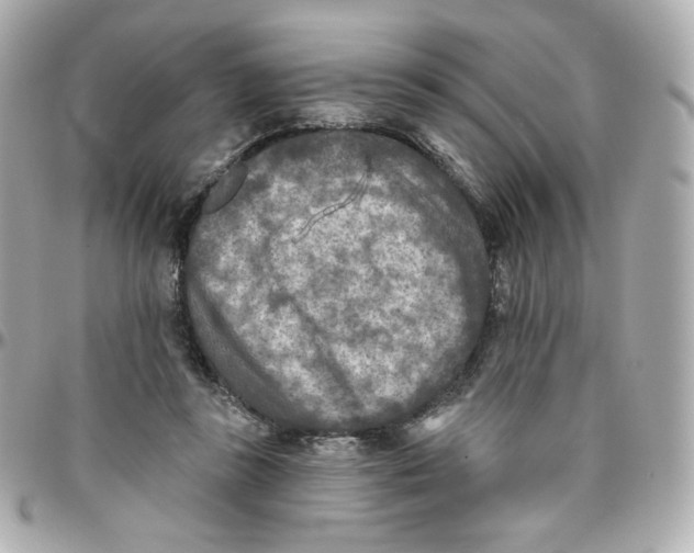 X0000095880355200802011049