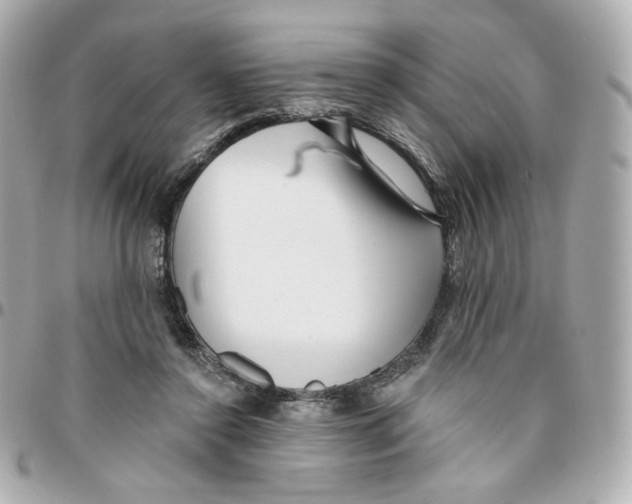 X0000095880356200802011049