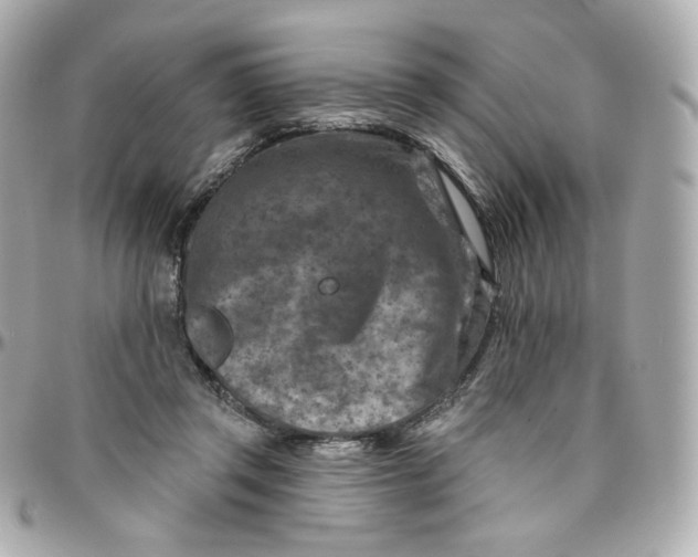 X0000095880357200802011049