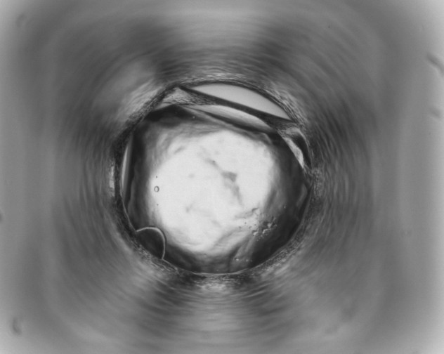 X0000095880358200802011049