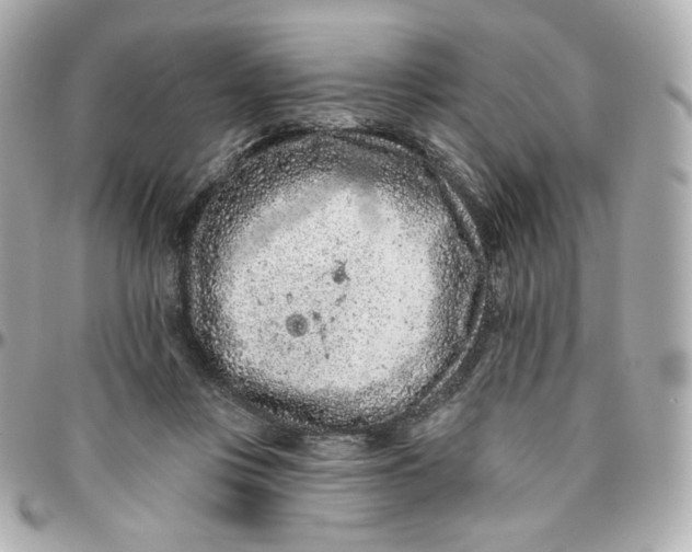 X0000095880359200802011049