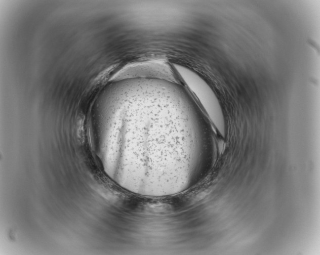 X0000095880360200802011049