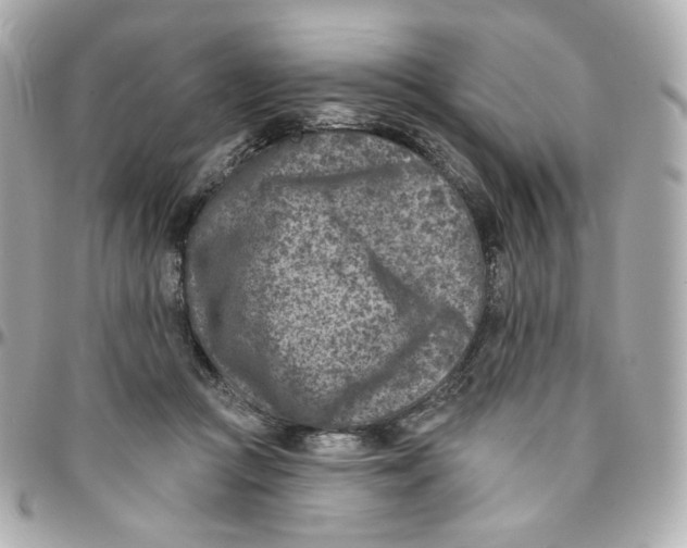 X0000095880361200802011049