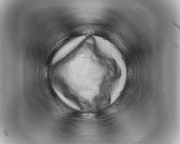 X0000095880363200802011049