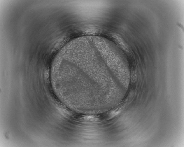 X0000095880365200802011049