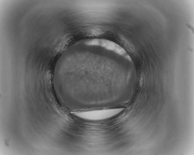 X0000095880366200802011049