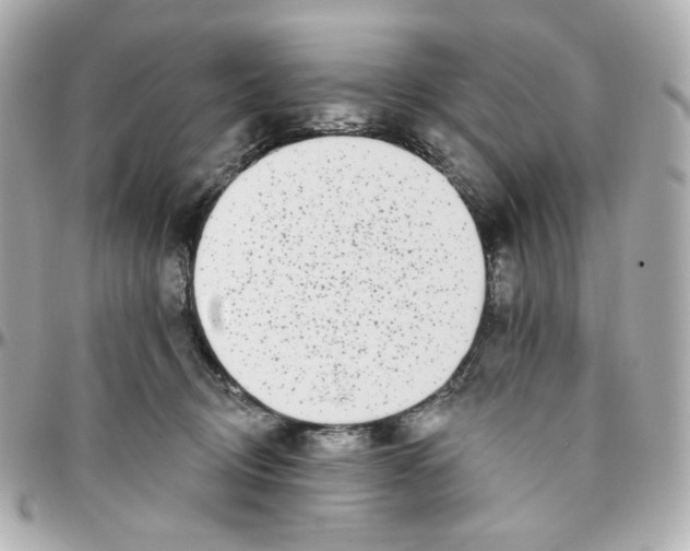 X0000095880370200802011049