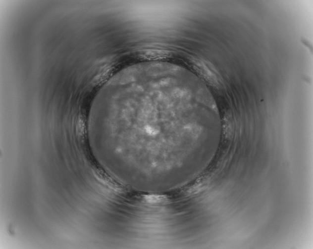 X0000095880371200802011049