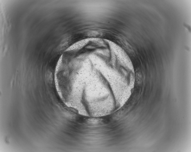 X0000095880375200802011049