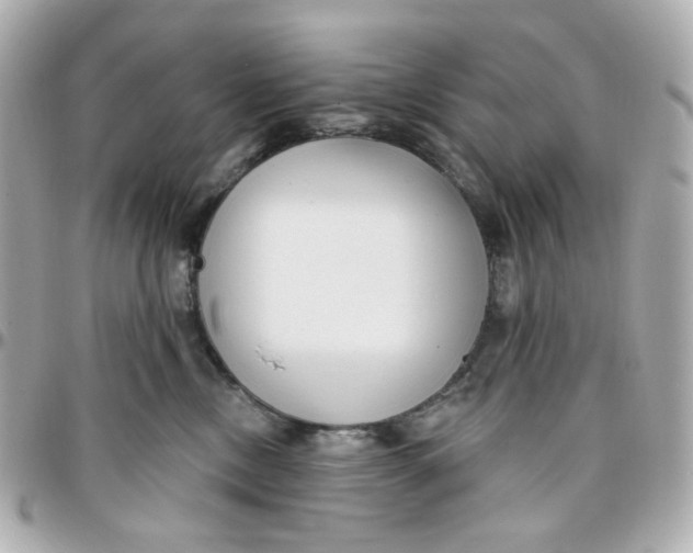 X0000095880378200802011049