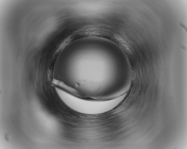 X0000095880382200802011049