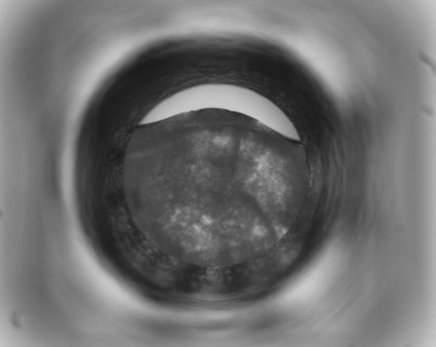 X0000095880383200802011049