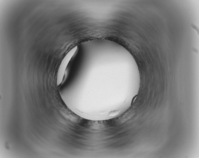 X0000095880384200802011049