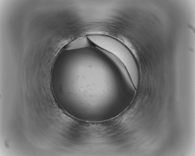 X0000095880385200802011049