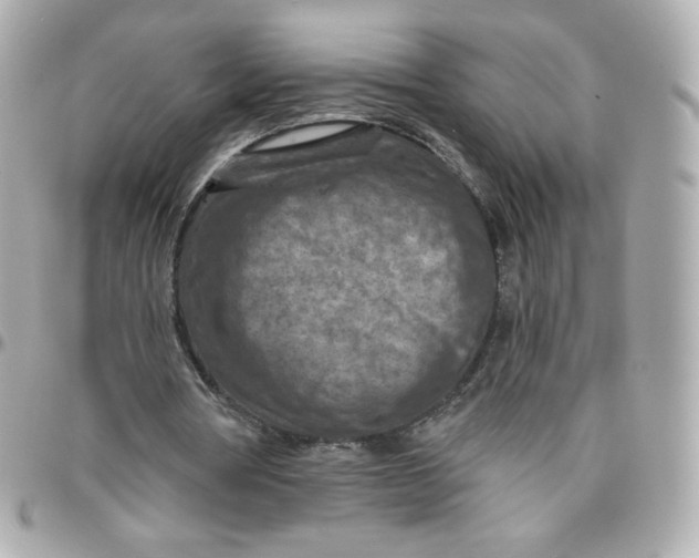 X0000095880386200802011049