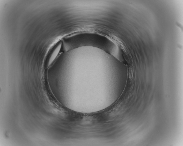 X0000095880388200802011049