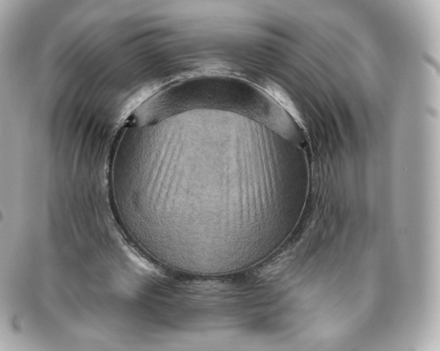 X0000095880389200802011049