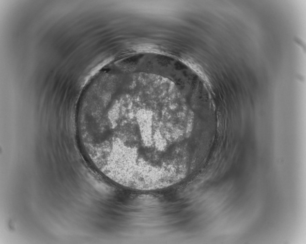 X0000095880390200802011049