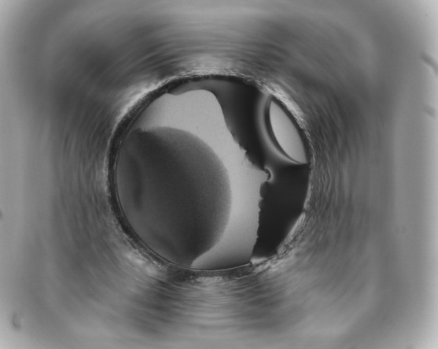 X0000095880391200802011049