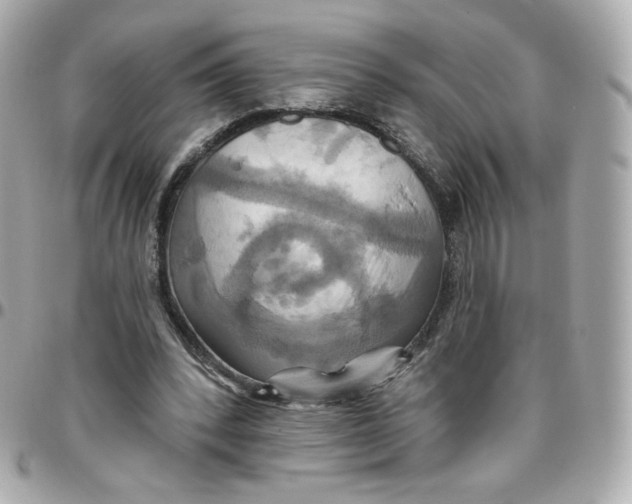 X0000095880392200802011049