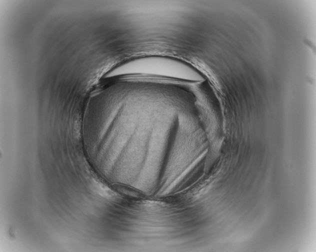 X0000095880393200802011049