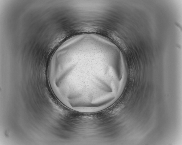 X0000095880394200802011049