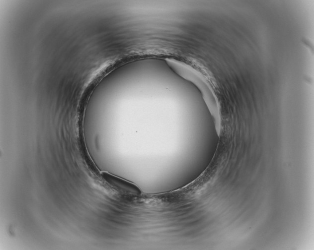 X0000095880395200802011049