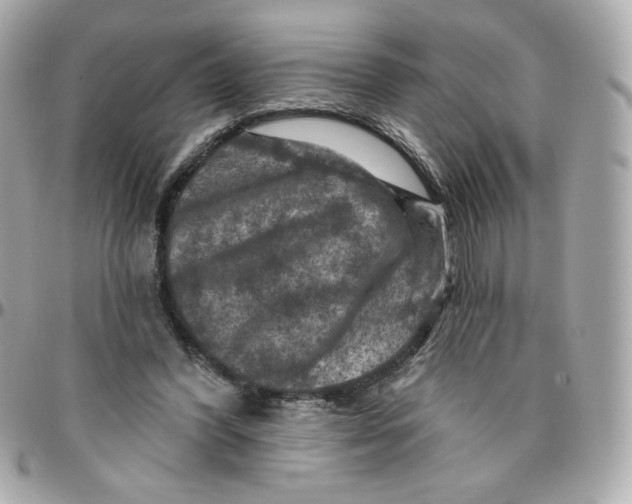 X0000095880396200802011049