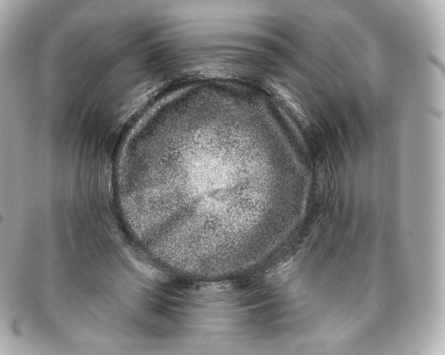 X0000095880398200802011048