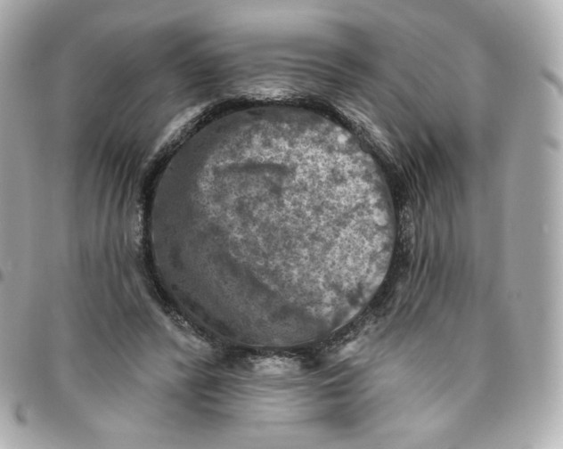 X0000095880400200802011048