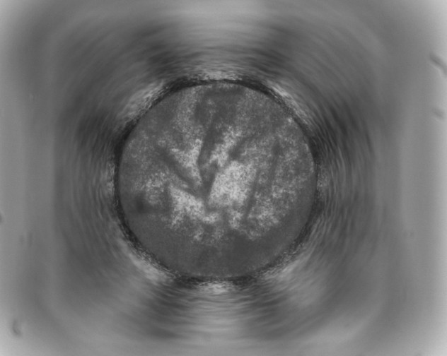 X0000095880402200802011048