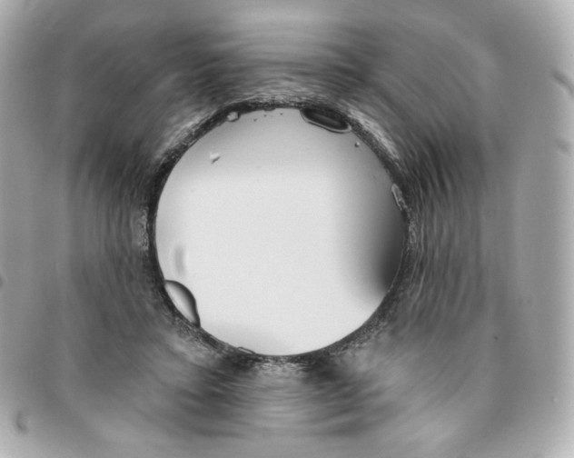 X0000095880403200802011048