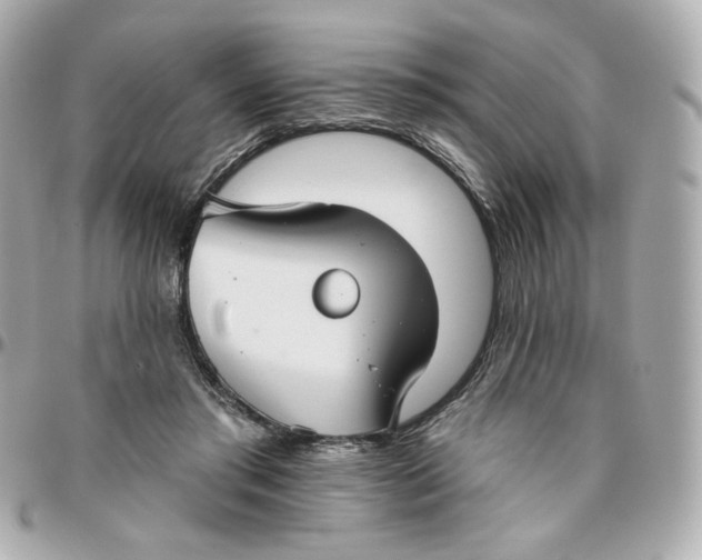 X0000095880405200802011048