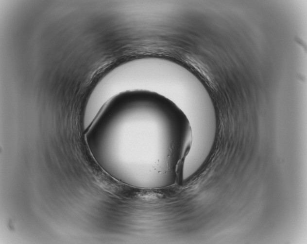 X0000095880407200802011048