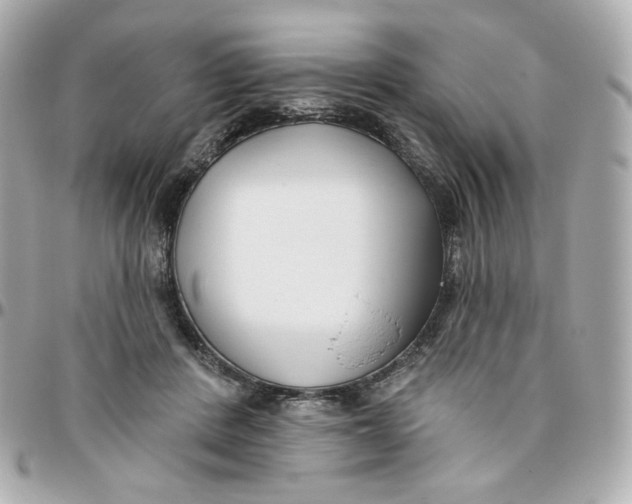 X0000095880408200802011048